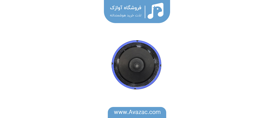 بلندگوی خام